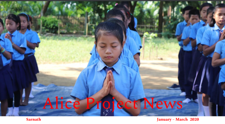 Read more about the article Alice Project News January- March 2020